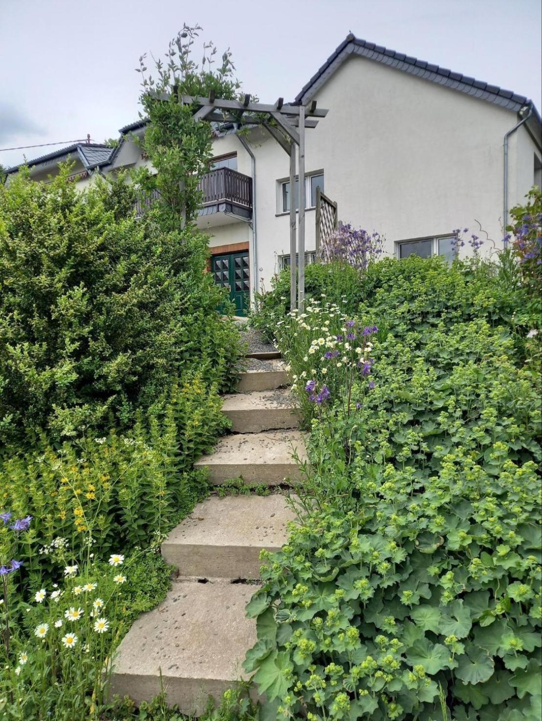 Hotel Haus Nirgendwo Lützkampen Exterior foto